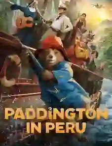 Paddington in Peru 2025